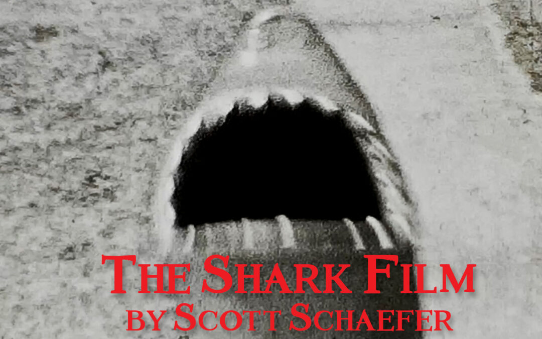 Watch my Super 8 movie ‘The Shark Film’ from 1979-81